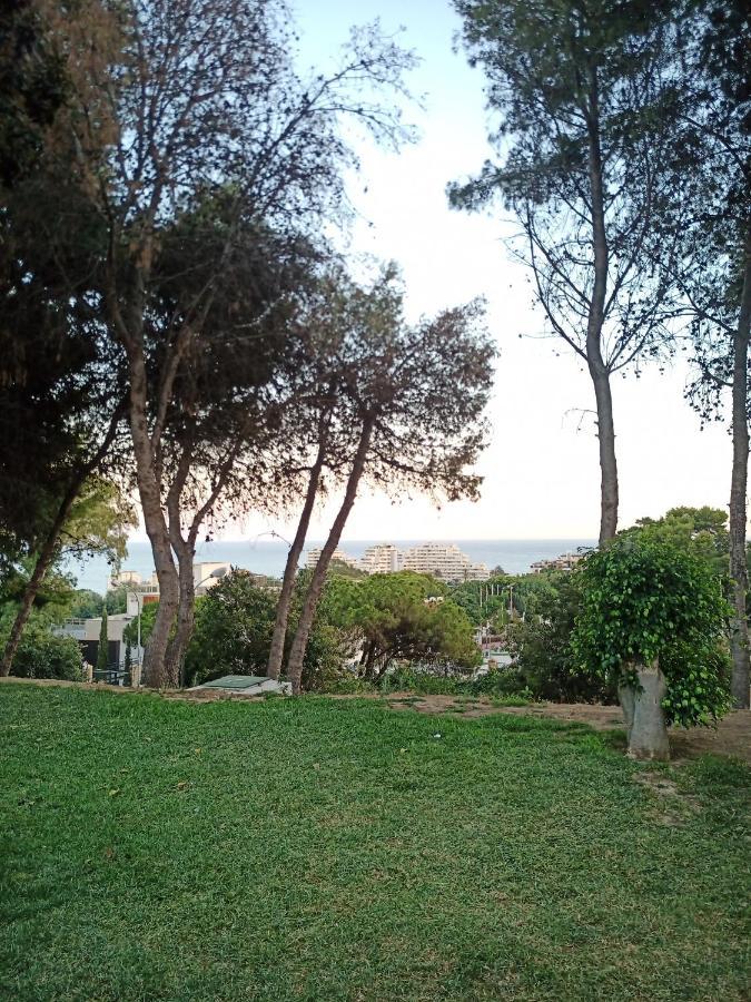 Sweet Benalmadena: Seaside With Pools And Wi-fi * Benalmadena