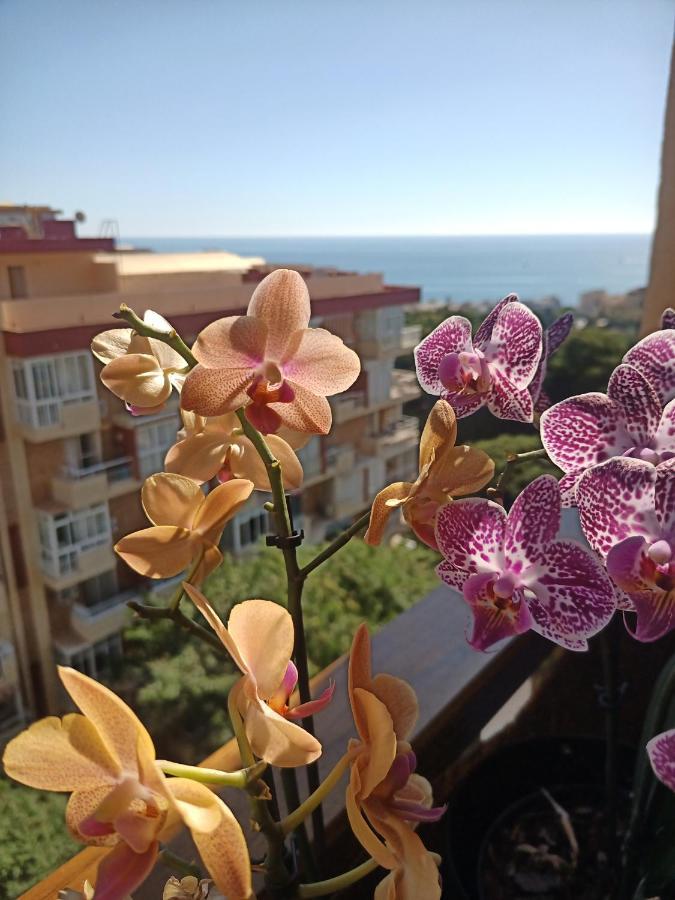 Sweet Benalmadena: Seaside With Pools And Wi-fi *